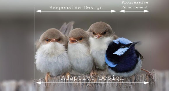 Adaptive-Web-Design