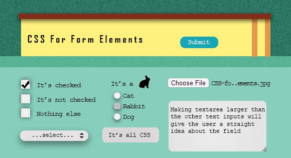 CSS for Form Elements