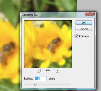 Blur Effects in Photoshop