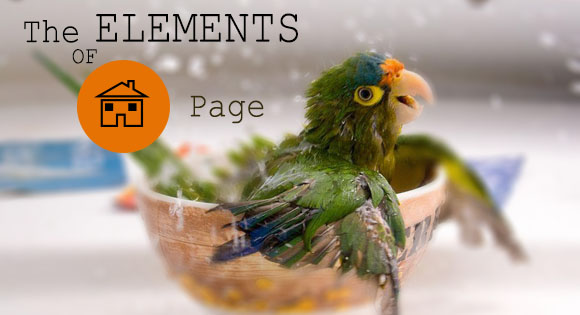 The Elements of a Home Page